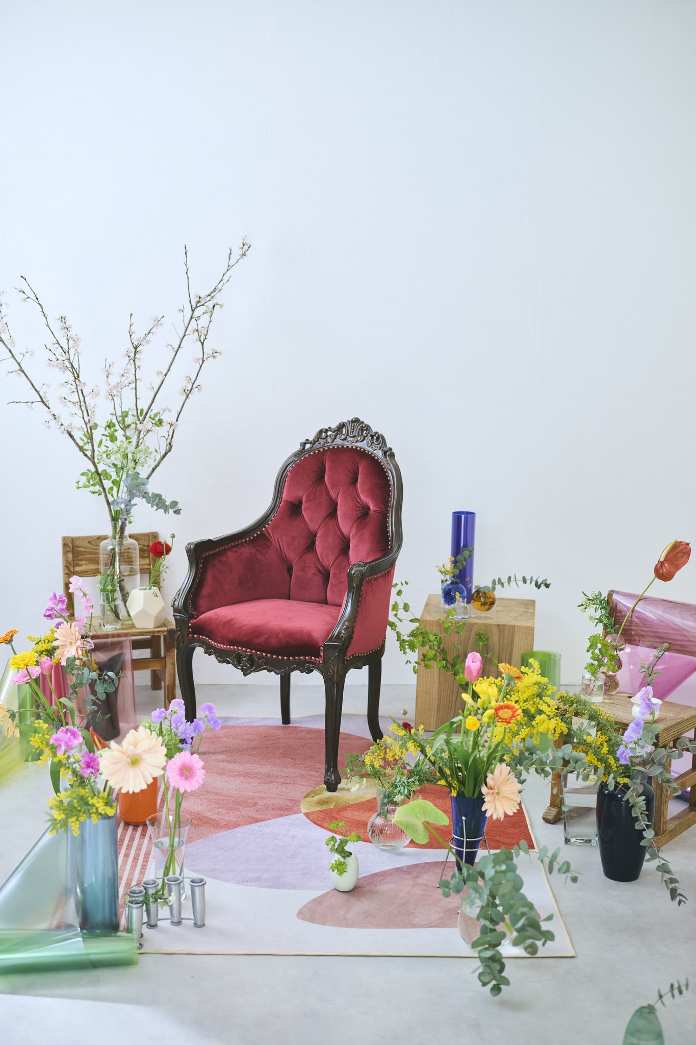 hitagraphs_202503_イベント